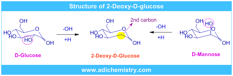 2-deoxy-D-glucose ring structure