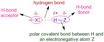 representationof H-bonding