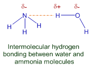Intermolecular hydrogen bonding between water and ammonia