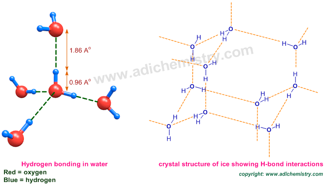 hydrogen bonding in water and ice