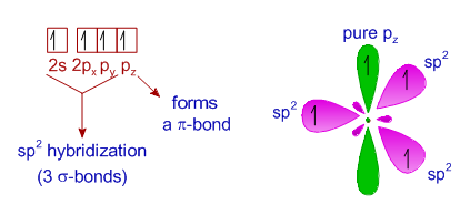 carbon-sp2 hybridization