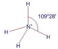 ammonium ion