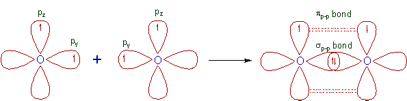 dioxygen molecule