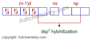 dsp2 hybridization