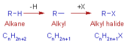 scheme of getting alkyl halide from an alkane