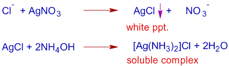 lassaigne's test for chlorine