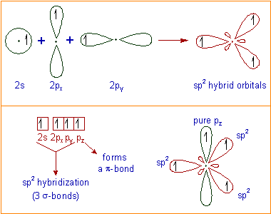 sp2 hybridization of carbon atom