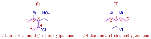 2-bromo-4-chloro-3-(1-nitroethyl)pentane & 2,4-dibromo-3-(1-chloroethyl)pentane