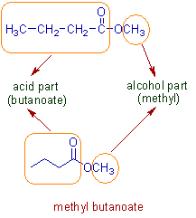 nomenclature of ester: methyl butanoate