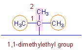 1,1-dimethylethyl group