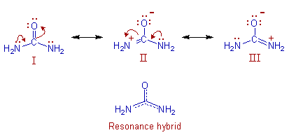 Resonance structures and hybrid of urea
