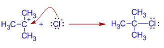 attack of chloride anion on tert-butyl carbocation