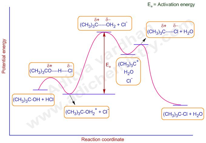 Potential energy diagram of SN1 reaction between tertiary alcohol and hydrogen halide