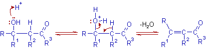 dehydration step in aldol condensation
