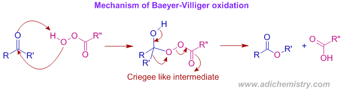Baeyer villiger oxidation mechanism