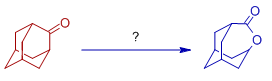 adamantanone baeyer villiger oxidation