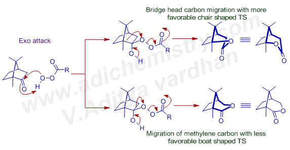 exo attack on camphor - BAEYER VILLIGER Mechanism