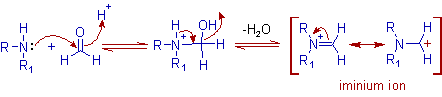 formation of iminium ion