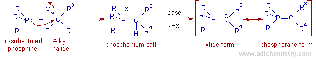 generation of phosphorus ylide