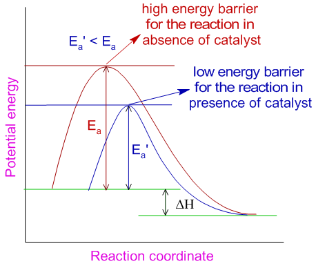 Graph: Effect of catalyst on rate of reaction