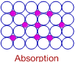 absorption : a bulk phenomenon